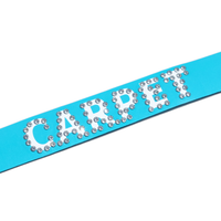 Carpet Rhinestone Leather Belt [Carolina Blue]